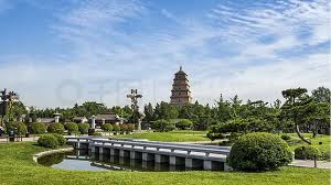 2026世界杯官网 新艺景园林绿化工程有限公司